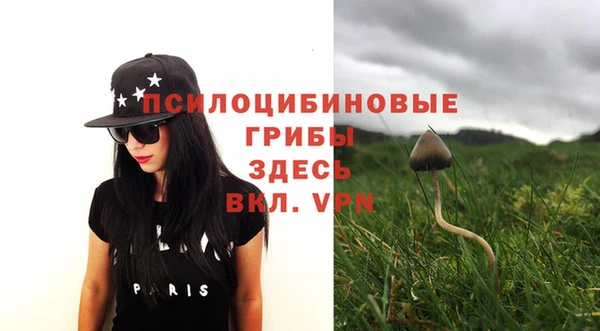 стафф Инсар