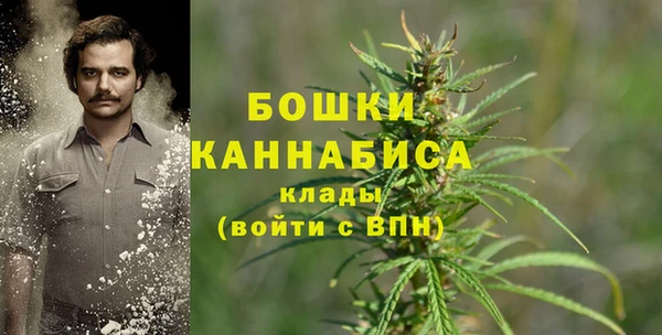 первитин Инта