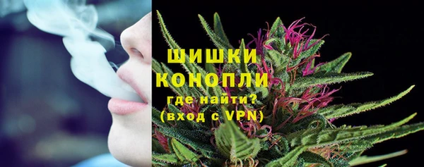 стафф Инсар