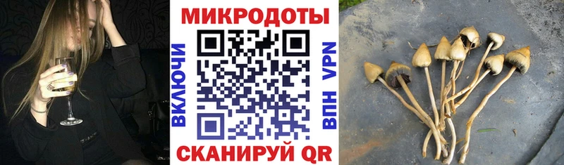 Псилоцибиновые грибы мицелий  Домодедово 